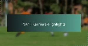Nani: Karriere-Highlights
