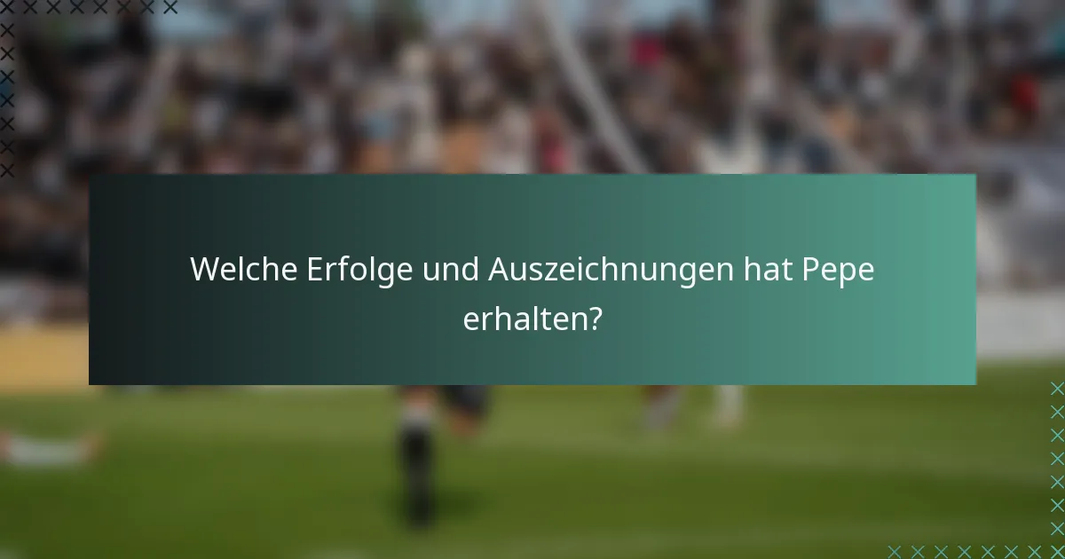 Welche Erfolge und Auszeichnungen hat Pepe erhalten?