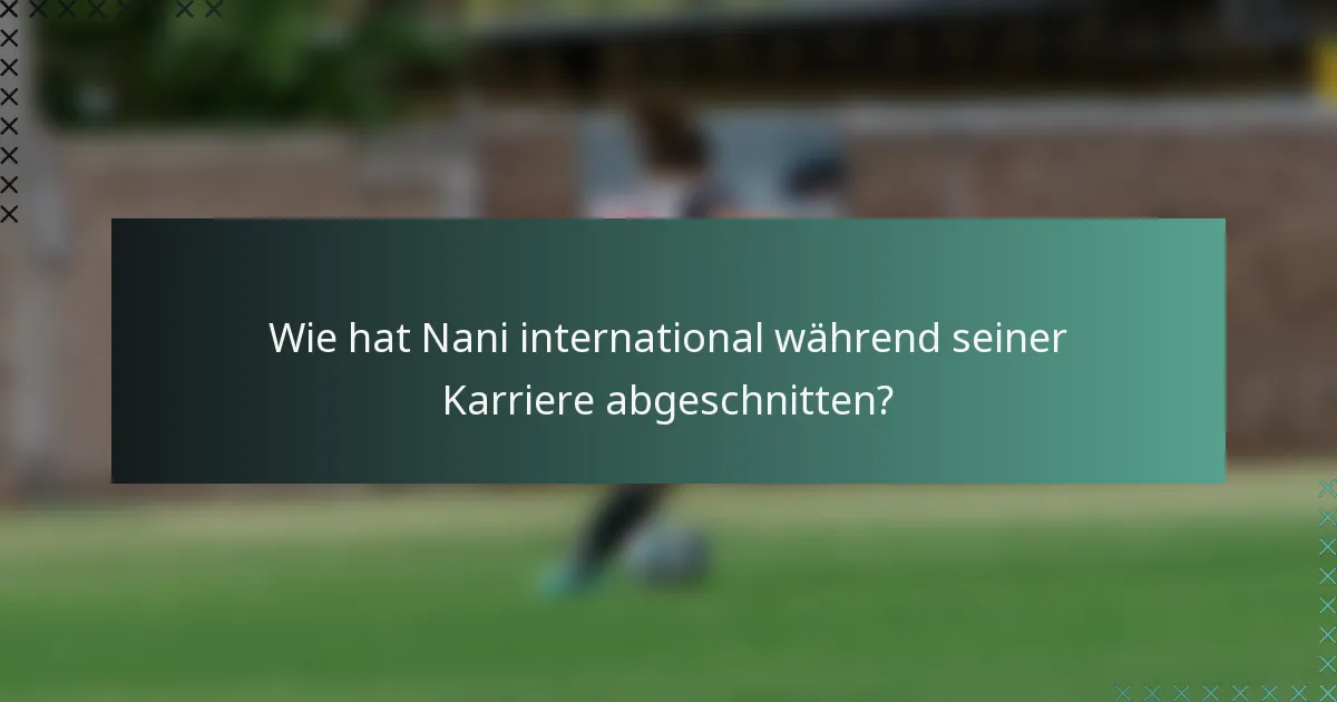 Wie hat Nani international während seiner Karriere abgeschnitten?