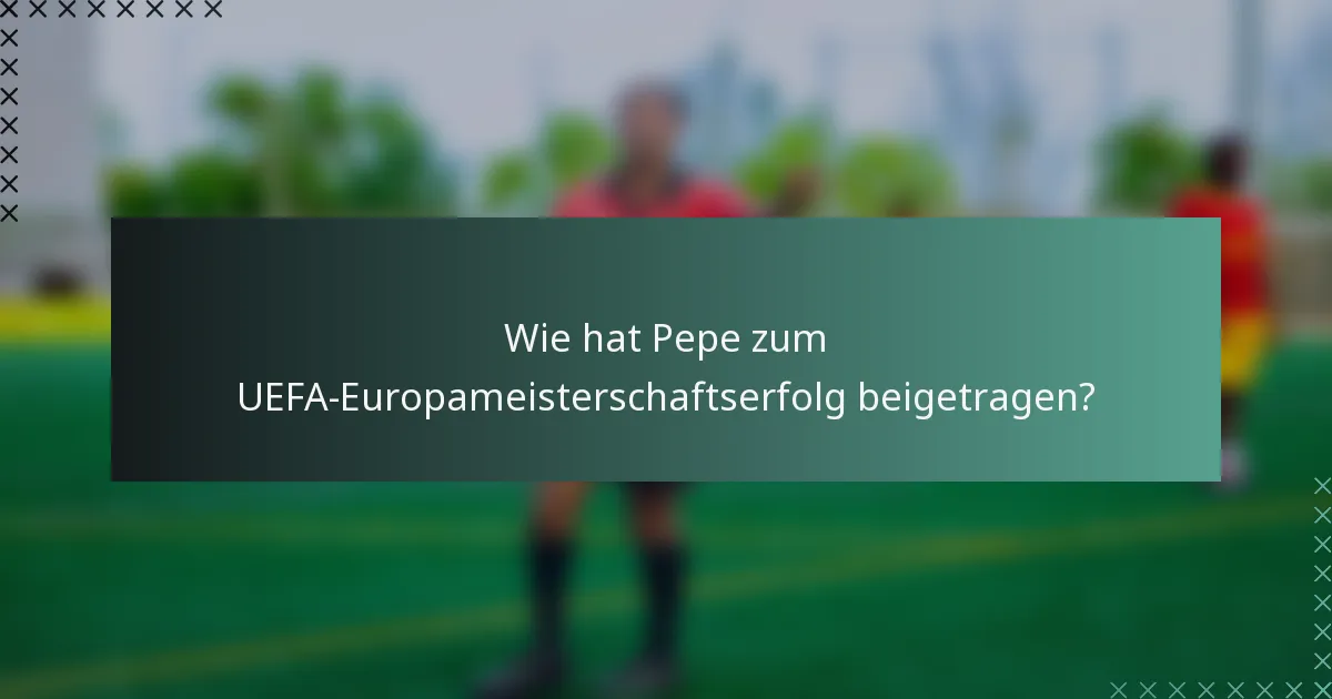 Wie hat Pepe zum UEFA-Europameisterschaftserfolg beigetragen?