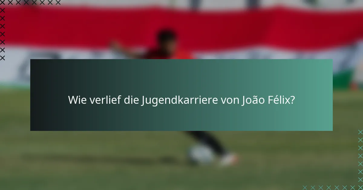 Wie verlief die Jugendkarriere von João Félix?